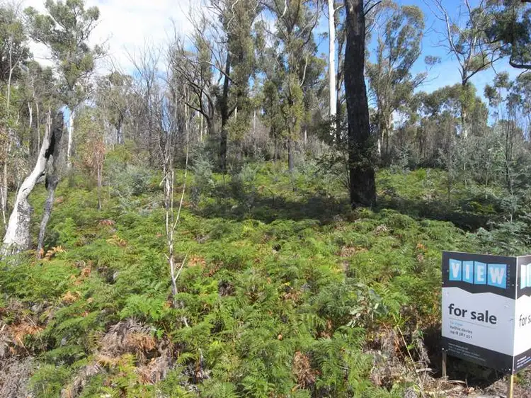 Lot 111 Upper Scamander Road, Scamander TAS 7215