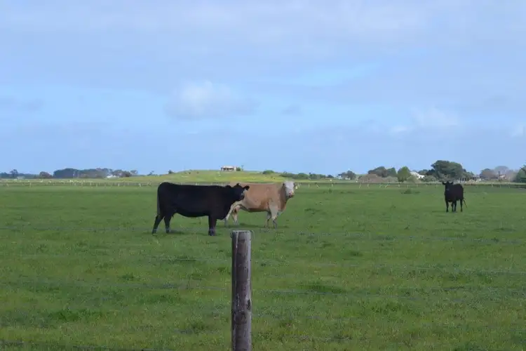 Main view of Homely rural property listing, 223 Burkhills Lane, Millicent SA 5280