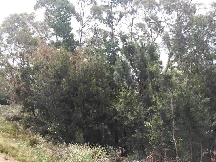 Seventh view of Homely land listing, 23 Coxs Drive, Dennes Point TAS 7150