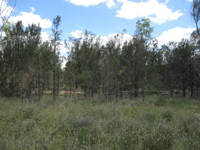 LOT 117 ROCKY CRESCENT, Tara QLD 4421