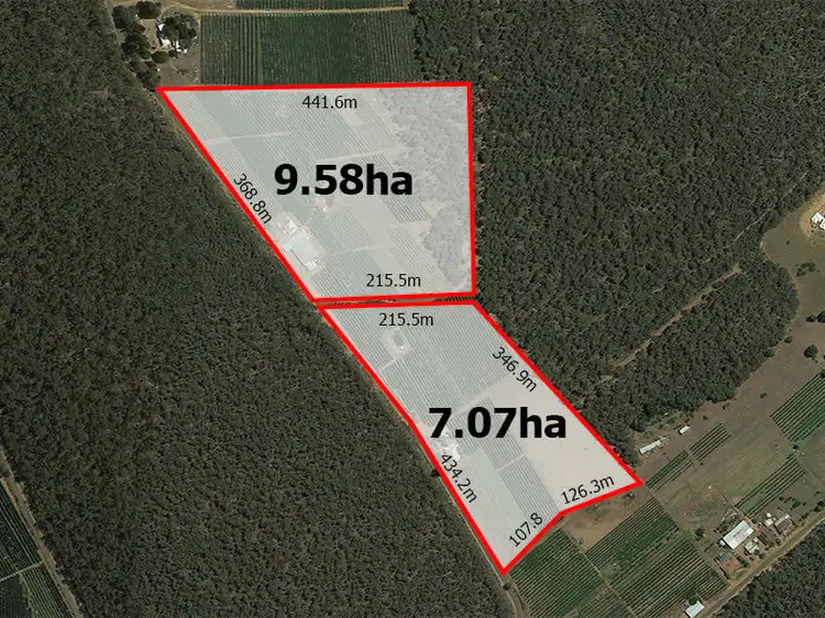 Main view of Homely land listing, 269 Patterson Road, Pickering Brook WA 6076