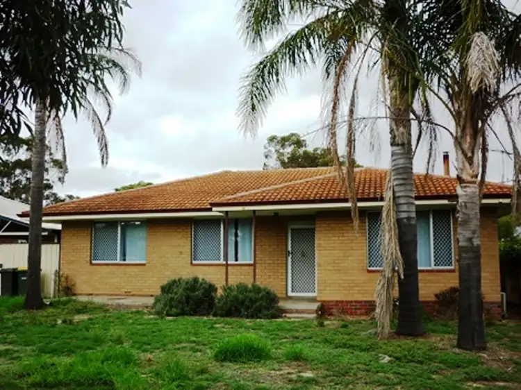 Main view of Homely house listing, 11 Beach Street, Katanning WA 6317