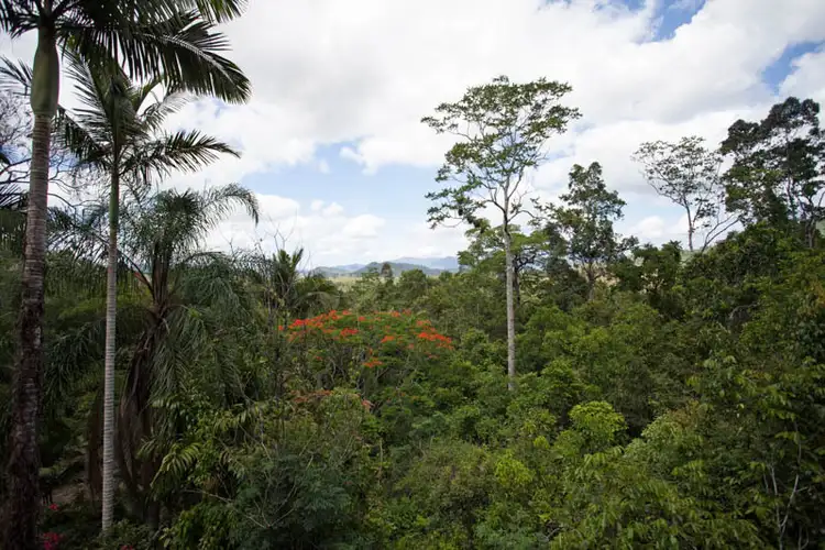 Seventh view of Homely house listing, 3490 Mirani-Mount Ossa Road, Mount Ossa QLD 4741