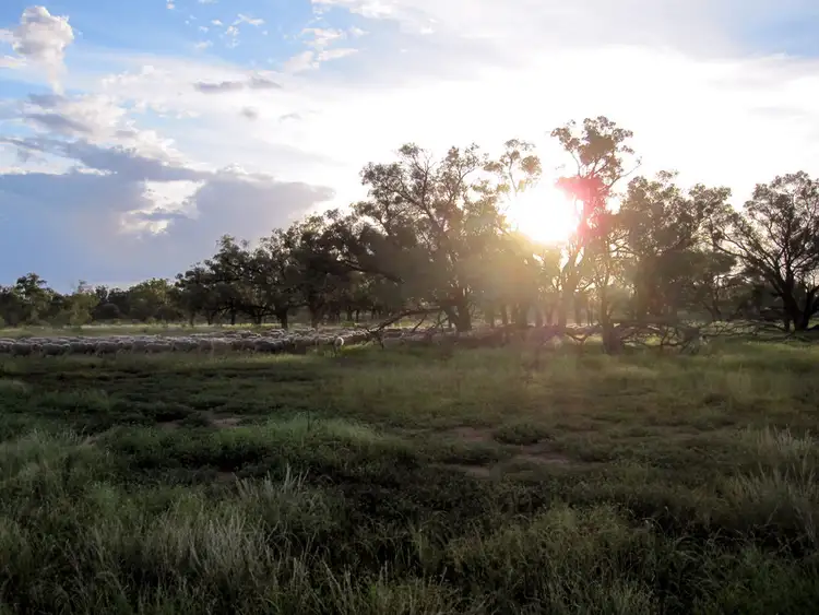 Second view of Homely rural property listing, " Cudgee ", Quilpie QLD 4480
