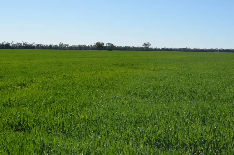 Third view of Homely rural property listing, 0 Campbells Road, Punchs Creek QLD 4357