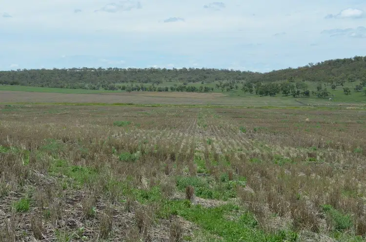 Fourth view of Homely rural property listing, 44 Coopers Road, Felton QLD 4358