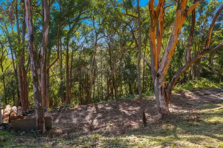 Sixth view of Homely land listing, Lot 3 / 373 The Scenic Road, Macmasters Beach NSW 2251