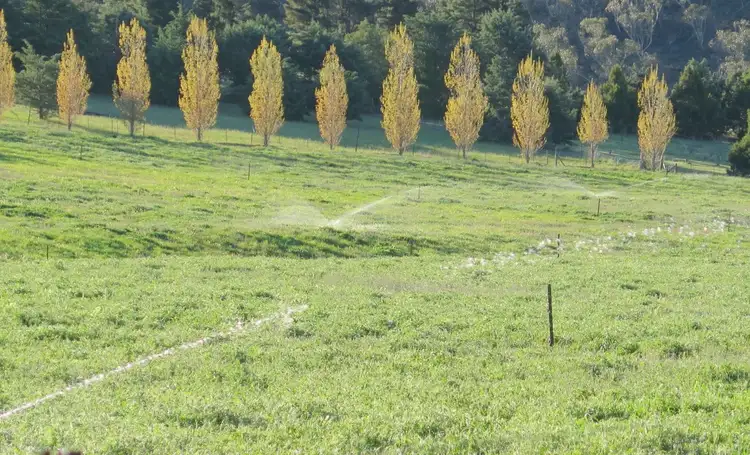 Third view of Homely rural property listing, 'WIRREGA' 112 Tillabudgerry Road, Cooma NSW 2630
