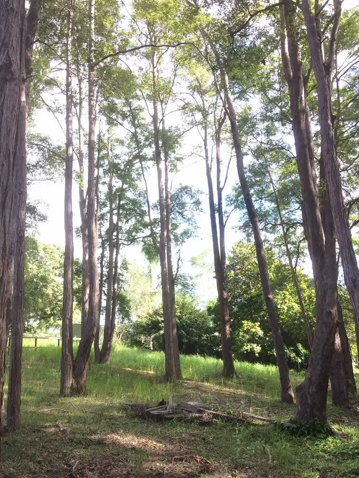 Lot 9 / 34 Summit Road, Pomona QLD 4568