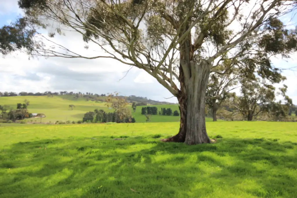 Main view of Homely land listing, Blyth and Hicks Road, Armagh SA 5453