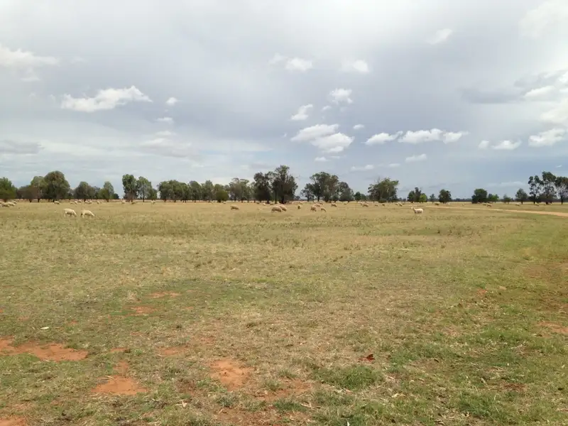 Main view of Homely rural property listing, Address available on request