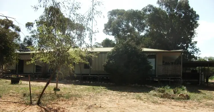 503 Caddy Road, Loveday SA 5345
