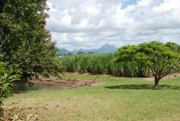 Fifth view of Homely rural property listing, 8628 Tweed Valley Way, Tumbulgum NSW 2490