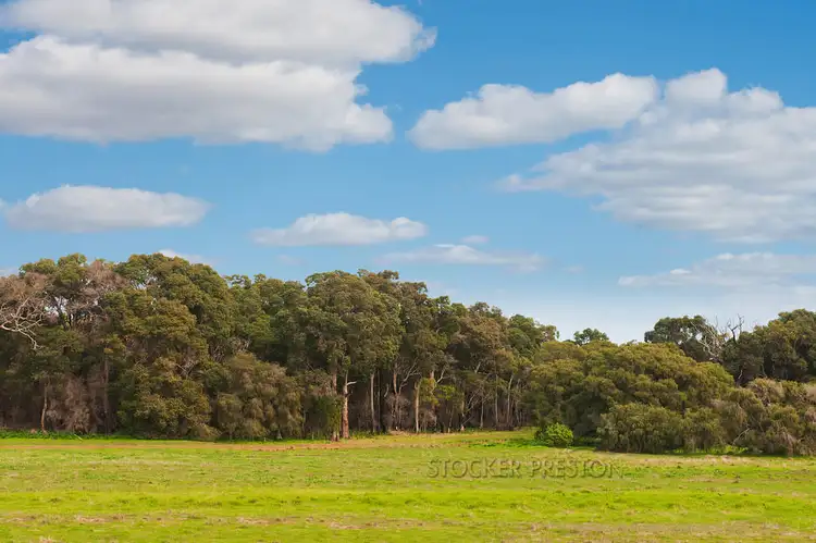 220 Burnside Road, Burnside, Margaret River WA 6285