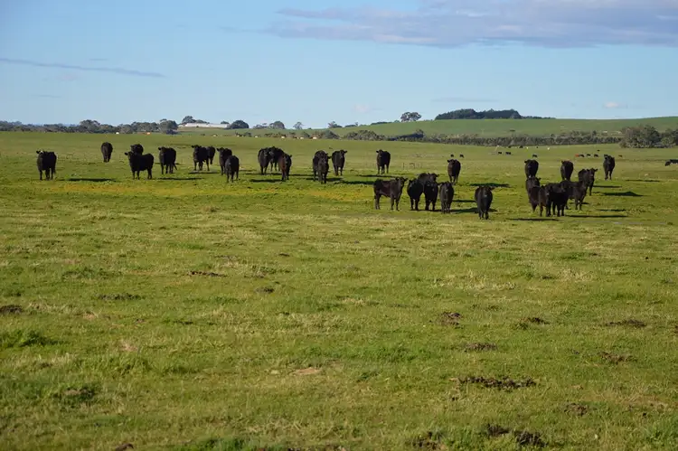 - Koonwarra-Inverloch Road, Leongatha South VIC 3953