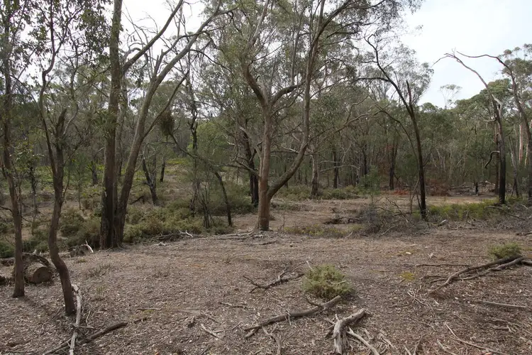 Seventh view of Homely land listing, 695 Pittong- Snake Valley Road, Snake Valley VIC 3351