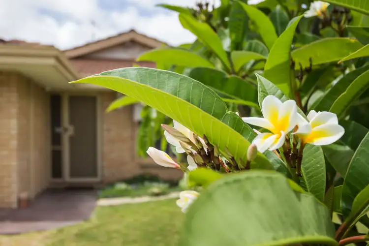 Fourth view of Homely house listing, 2 Frost Close, Munster WA 6166