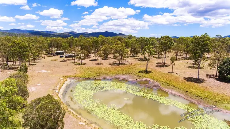 Fifth view of Homely house listing, 1010 Round Hill Road, Captain Creek QLD 4677