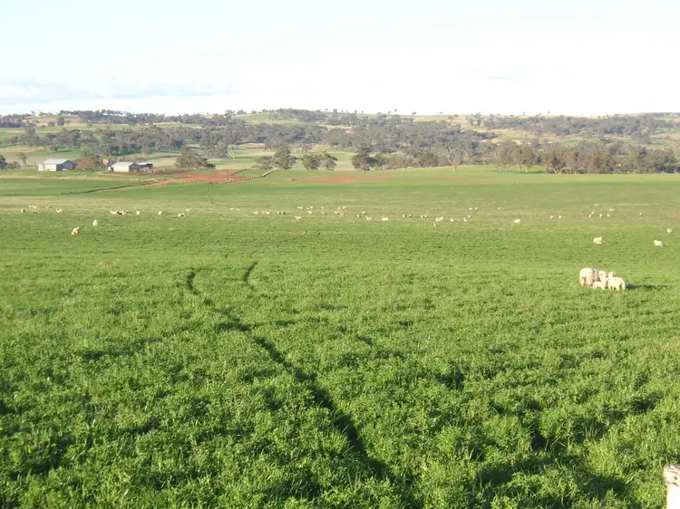 Sixth view of Homely rural property listing, - 'FERNDALE', Cootamundra NSW 2590