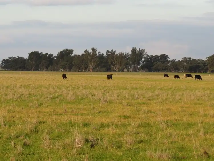 Sixth view of Homely rural property listing, "Nocoleigh" Lower River Road, Deniliquin NSW 2710