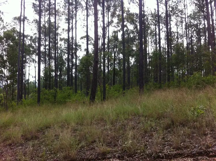 Lot 366 Arboreleven Road, Glenwood QLD 4570