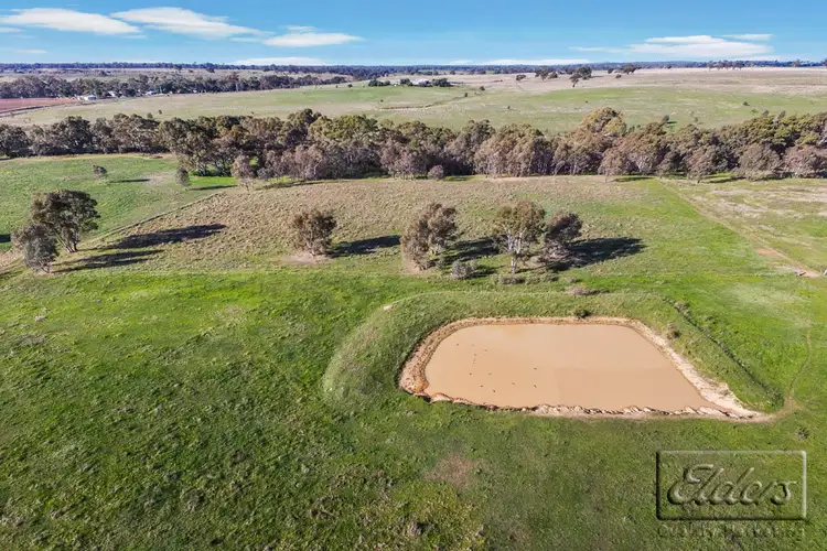 Third view of Homely house listing, 380 Canny Road, Axedale VIC 3551