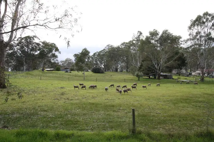 Sixth view of Homely house listing, 19 Benayeo Road, Apsley VIC 3319