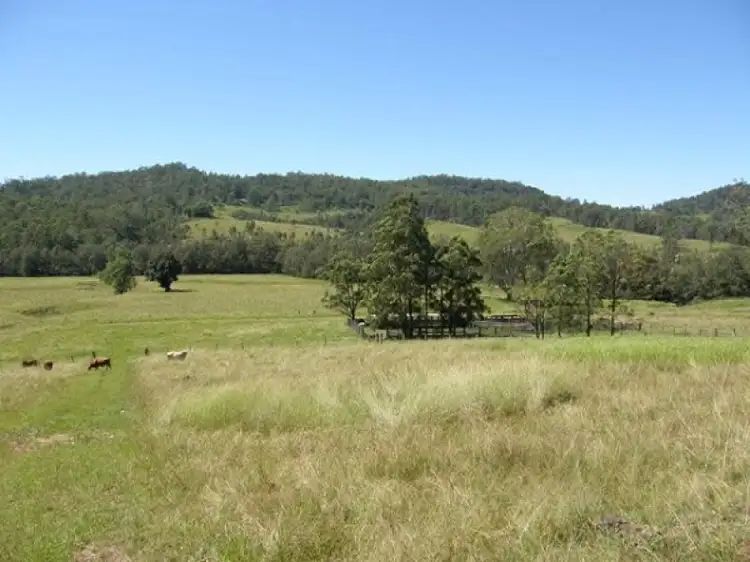 Third view of Homely rural property listing, Lots 195 & 178 Smiths Creek Road, Copmanhurst NSW 2460