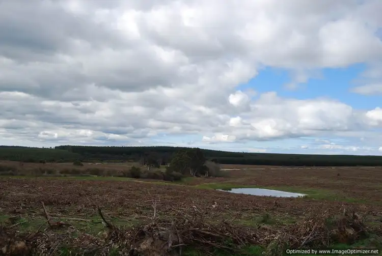 Fifth view of Homely rural property listing, 0 Stockdale - Fernbank Road, Stockdale VIC 3862