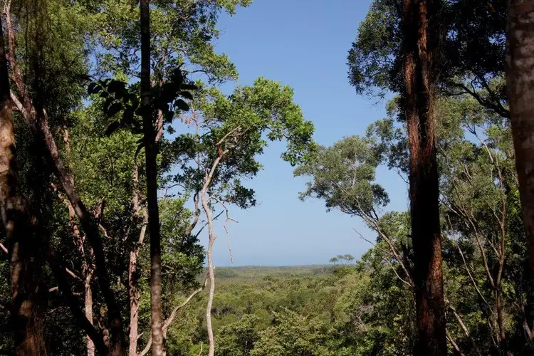 Second view of Homely land listing, Lot 38 Ronald Road FOREST CREEK, Daintree QLD 4873