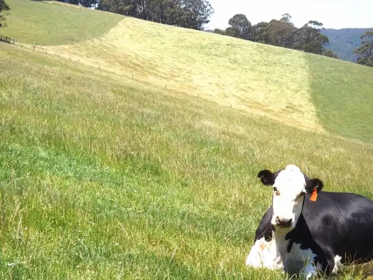 Second view of Homely rural property listing, Lot 3 Weirs Road, Narracan VIC 3824