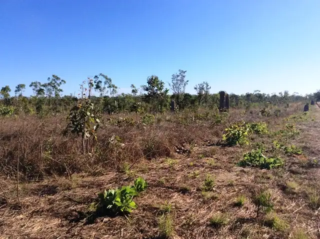 Main view of Homely land listing, 80 Letchford Road, Darwin River NT 841
