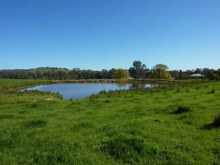 Seventh view of Homely rural property listing, 589 Humula Road VIia Tarcutta, Wagga Wagga NSW 2650