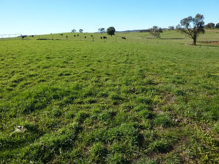Fourth view of Homely rural property listing, 146 Pulletop Poad, Wagga Wagga NSW 2650