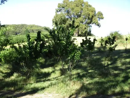 Fifth view of Homely land listing, lot 211 Sharps Road, Carey Gully SA 5144