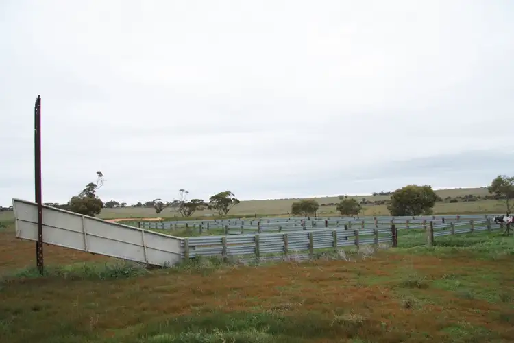 Second view of Homely rural property listing, Secs 8 & 19 Hundreds of Allen and Mantung, Caliph SA 5310