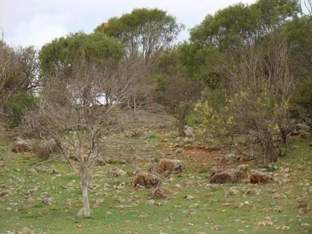 Sixth view of Homely rural property listing, Lot 2 Murphy-Yetna Road, Nanson WA 6532