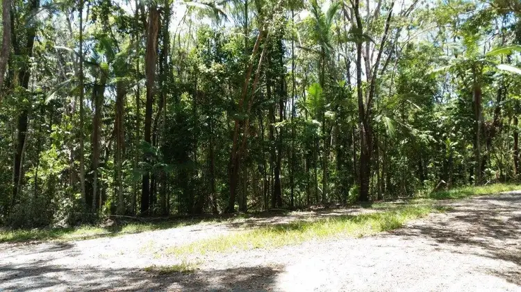 Third view of Homely land listing, Lot 10 Andrew Road, Forest Creek,, Daintree QLD 4873