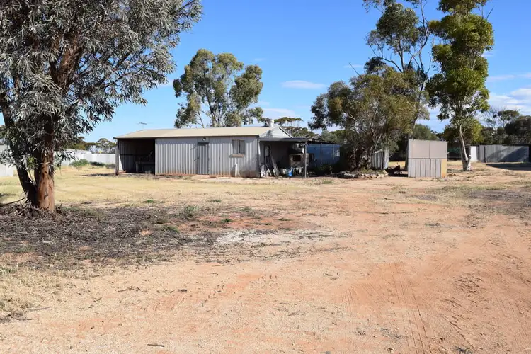 Third view of Homely house listing, 13 & 14 Olive Street, Pata SA 5333