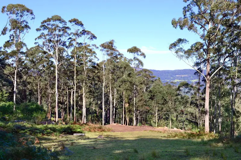 Main view of Homely land listing, Lot 2 Cedar Springs Road, Kangaroo Valley NSW 2577