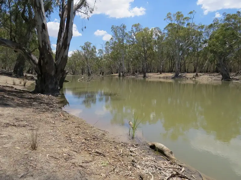 Main view of Homely rural property listing, 2738 CALIMO ROAD, Deniliquin NSW 2710