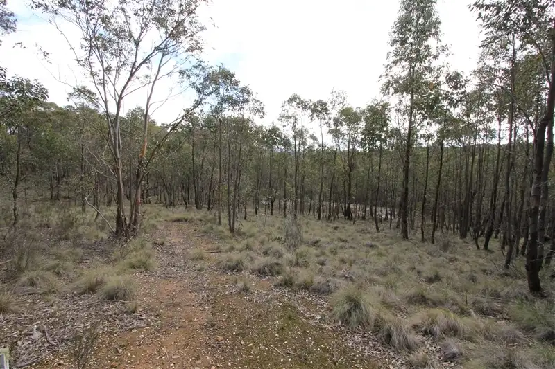 Main view of Homely land listing, Lot 6 Haigh Lane, Snake Valley VIC 3351