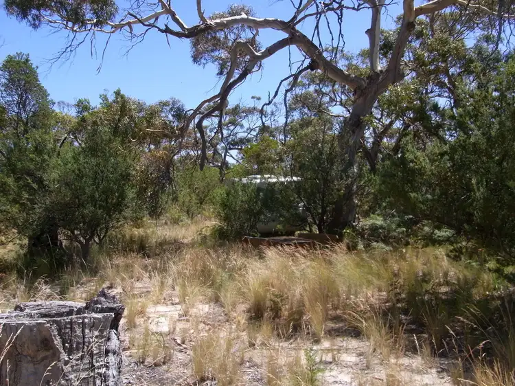 Second view of Homely land listing, 1181 Dolphin Sands Road, Dolphin Sands TAS 7190