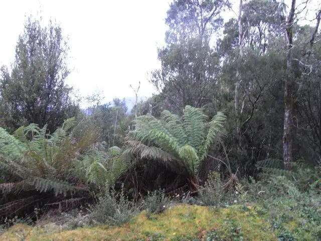 Sixth view of Homely land listing, . Crotty Street, Queenstown TAS 7467