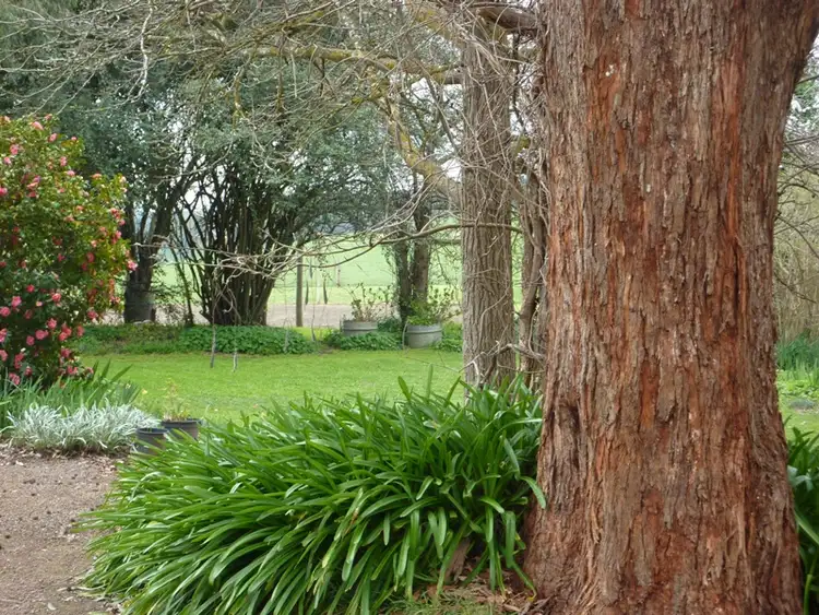 Fifth view of Homely rural property listing, 1348 Murrindindi Road, Murrindindi via, Yea VIC 3717