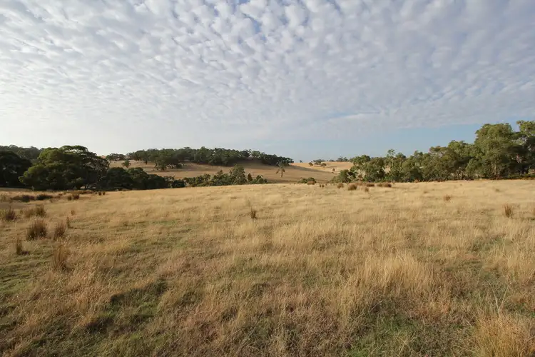 Seventh view of Homely land listing, 297 Browns Road, Dereel VIC 3352
