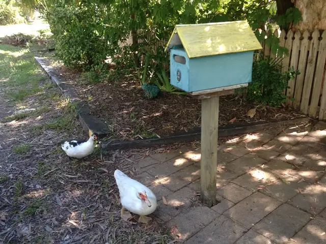 1/9 McCabe Crescent, Arcadia, Magnetic Island QLD 4819