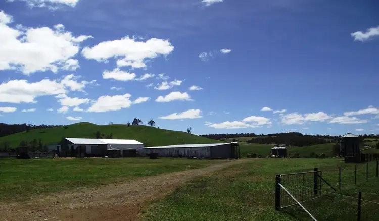 Fourth view of Homely rural property listing, 160 Mud Walls Road, Colebrook TAS 7027