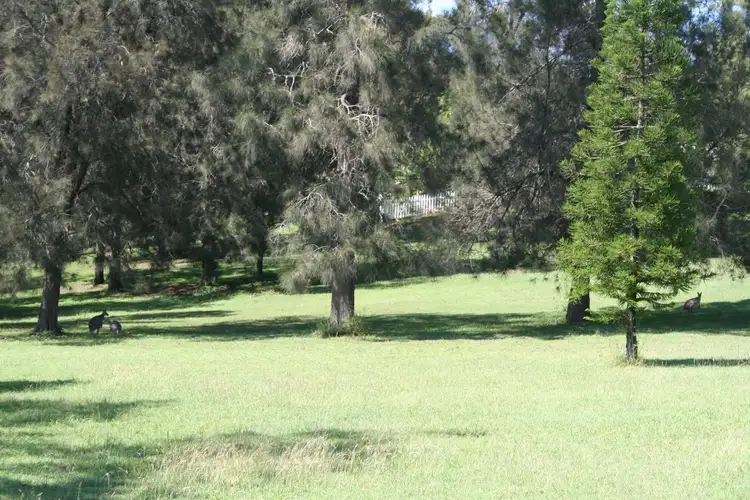 Second view of Homely house listing, 32 Meadows Road, Withcott QLD 4352