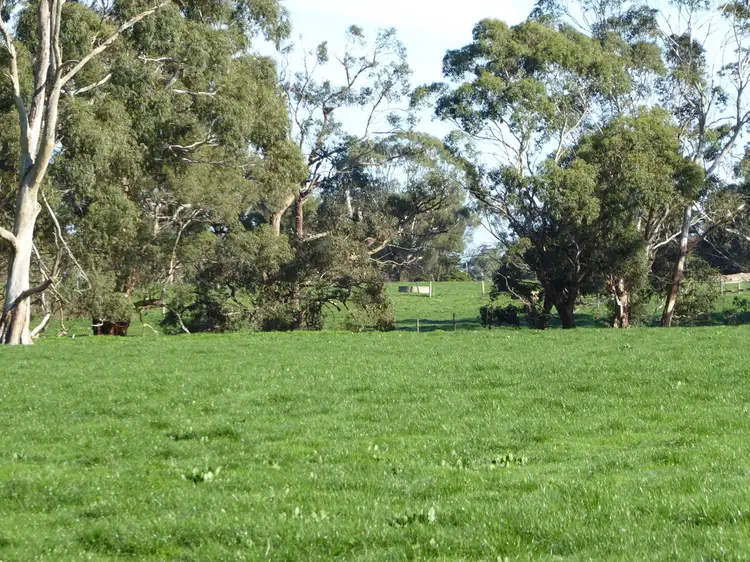 Third view of Homely rural property listing, 314 Rollos Road, Naringal VIC 3277